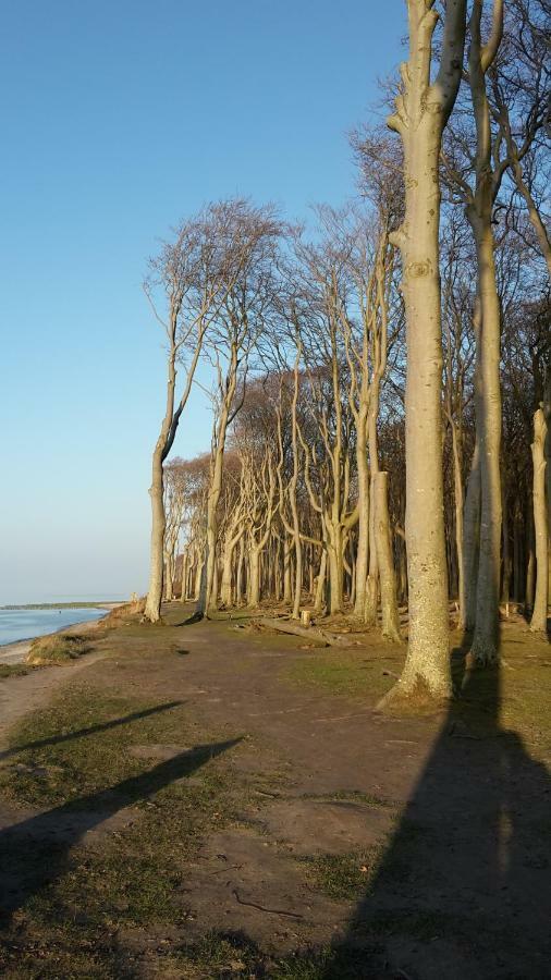 Ferienwohnungostseeblick Boergerende-Rethwisch Exterior photo